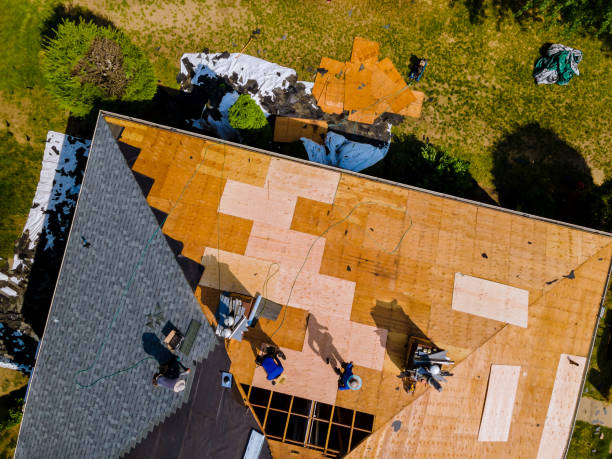 Best Roof Maintenance Services  in Kdeer, IL